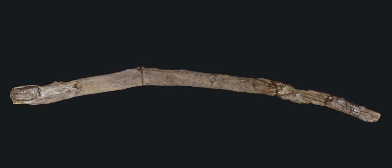 430.000 Jahre alte Holzwerkzeuge in Griechenland entdeckt