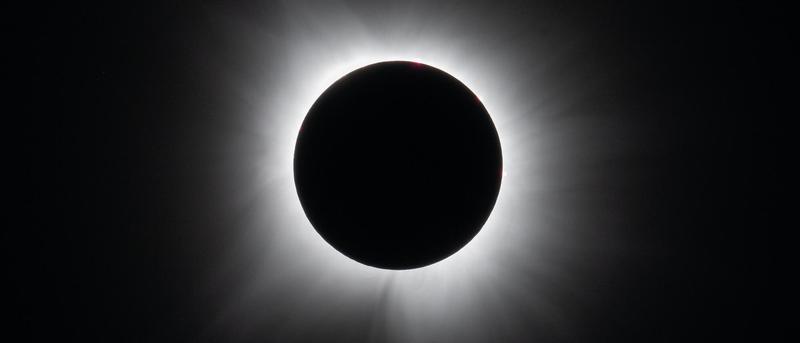 Haben Bäume die Sonnenfinsternis gespürt?