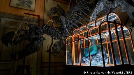 Die Dino-Handtasche: Wissenschaft oder Marketing?
