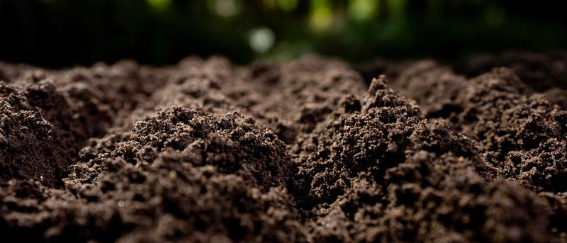 Trockene Böden und die Gefahr durch resistente Bakterien