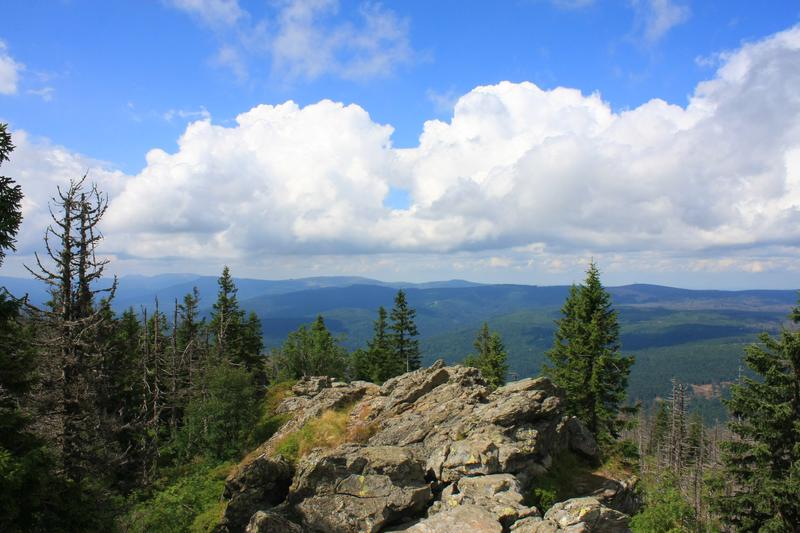 Der Nationalpark Bayerischer Wald