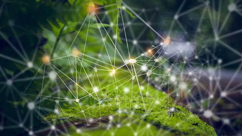 Kann abstrakte Mathematik die Umwelt retten?