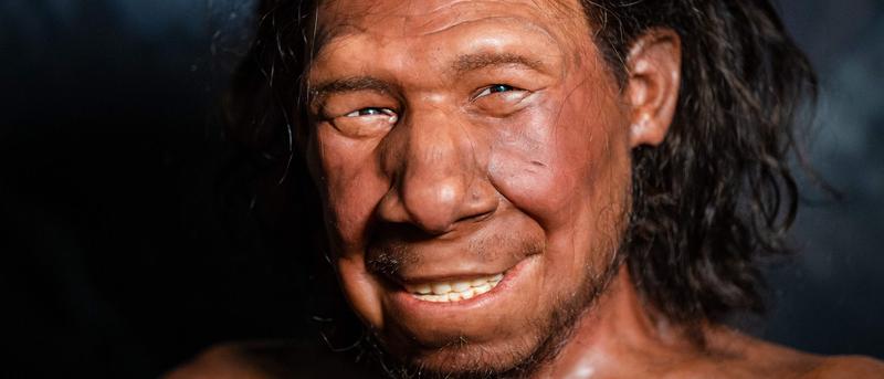 Neandertaler und moderne Menschen: Eine besondere Beziehung