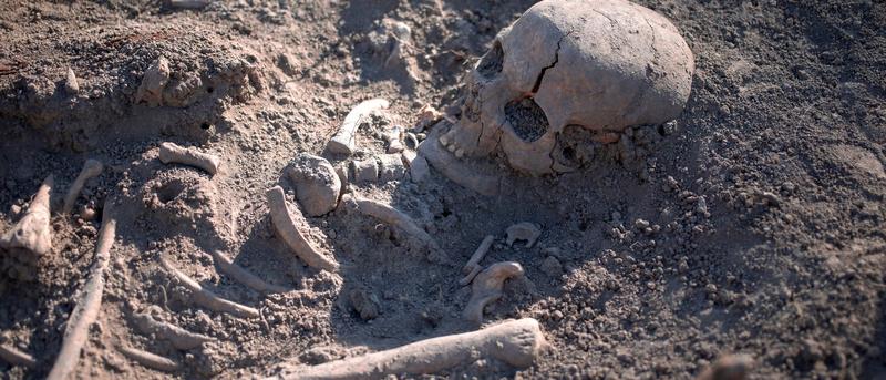 Ein rätselhaftes Massengrab aus der Eisenzeit