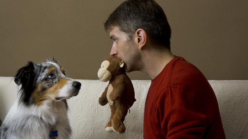 Ein Hund passt zu dir