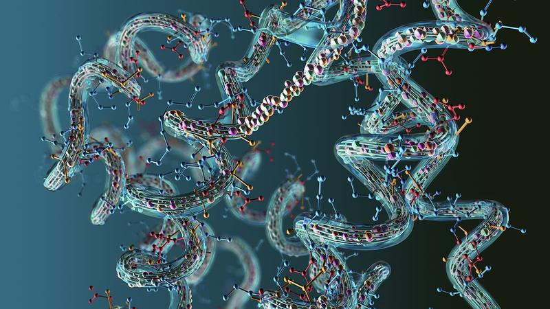 KI-Modell ESMFold: Eine Milliarde Proteine vorhergesagt
