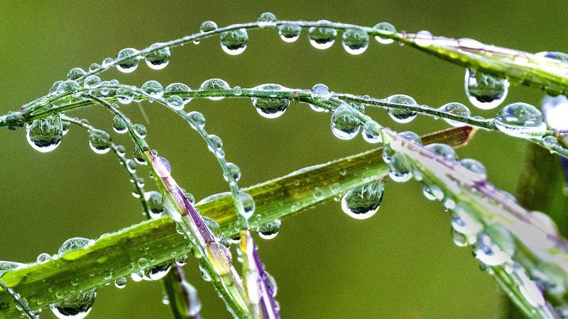 Thales von Milet: Warum Wasser der Ursprung von allem ist