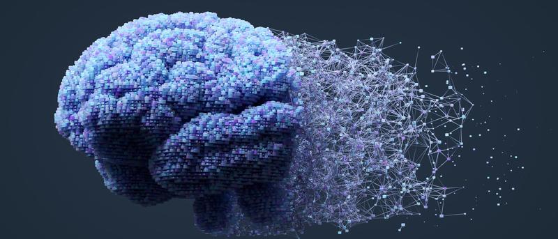 Die Geschwindigkeit unseres Gehirns: Warum denken wir langsam?