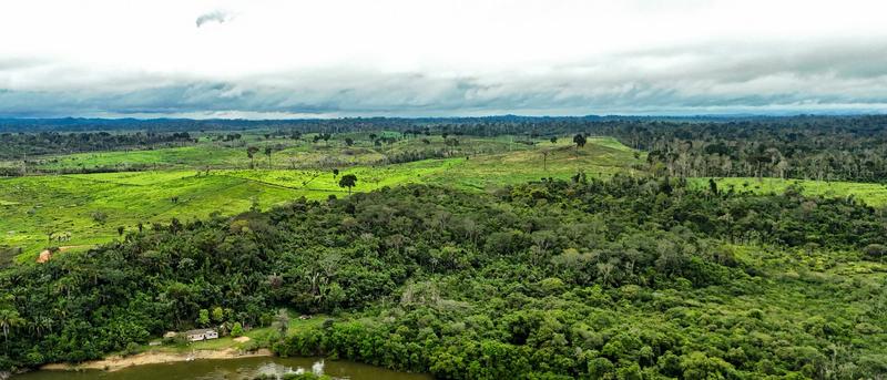 Der Amazonas am Kipppunkt: Warum der Regenwald in Gefahr ist