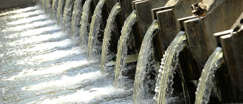 Polioviren im Hamburger Abwasser: Was bedeutet das?