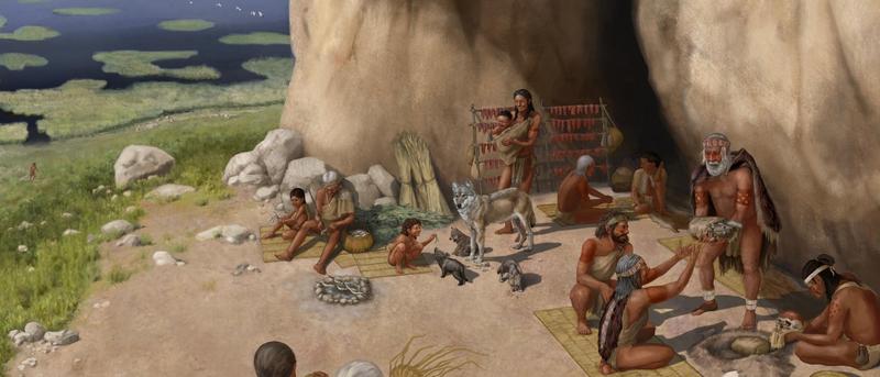 Die Geschichte der Hunde in Europa