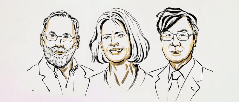 Medizin-Nobelpreis 2025: Ausgezeichnete Forschung über das Immunsystem