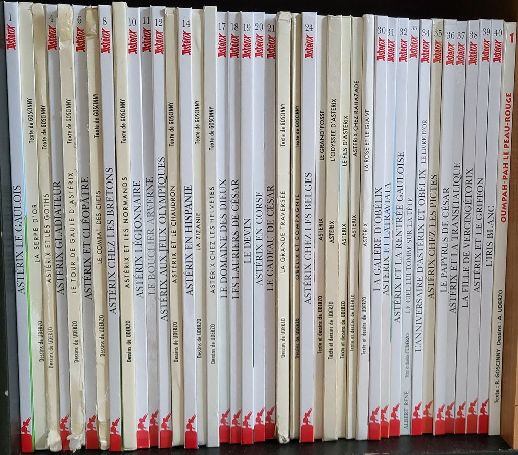 Asterix und Obelix – die berühmten Gallier