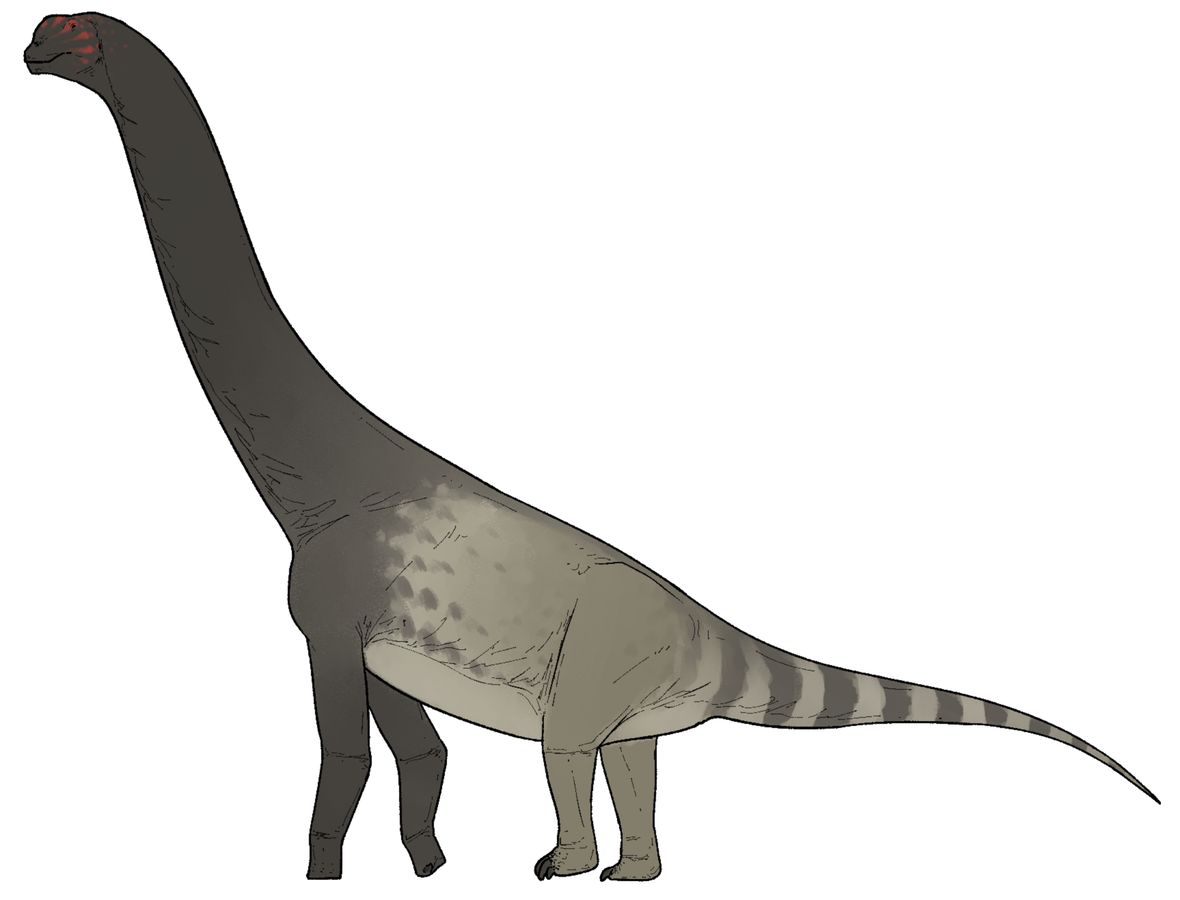 Bicharracosaurus: Ein neuer Sauropode aus dem Jura Patagoniens