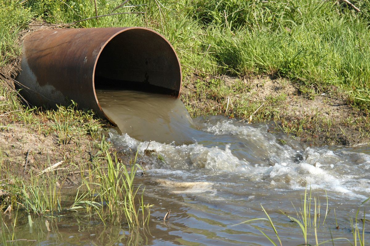 Wasserknappheit in Brandenburg: Ein wachsendes Problem