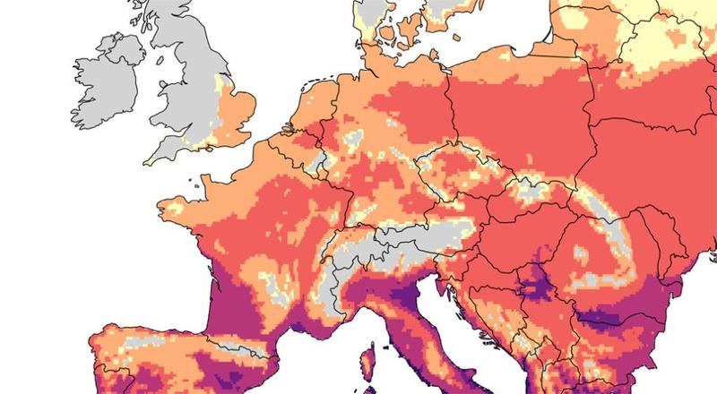 Chikungunya-Virus: Warum es jetzt auch in Deutschland gefährlich wird