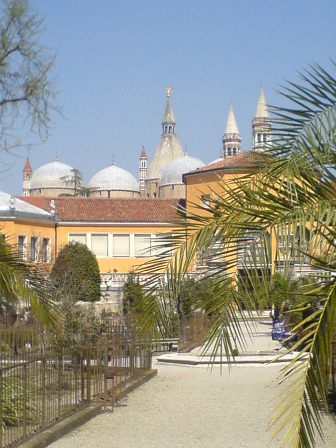Botanische Gärten – Orte für Pflanzen und Menschen