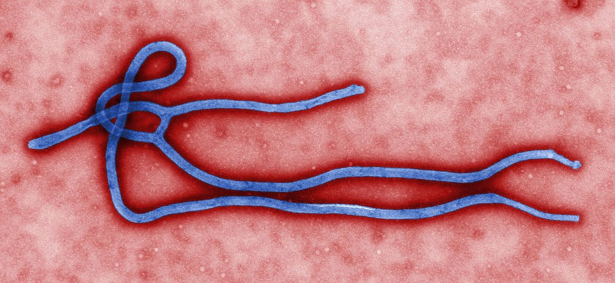 Ebola-Patient in Deutschland: Behandlung in der Charité