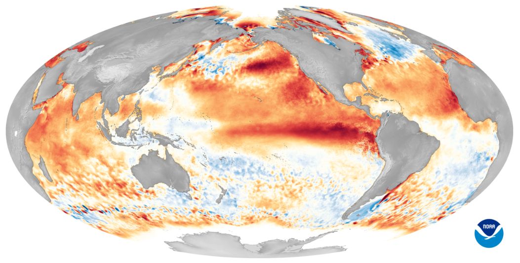 El Niño: Ursachen, Auswirkungen und globale Folgen