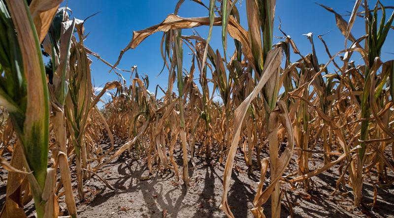 Klimawandel: Extremwetter bei zwei Grad Erwärmung