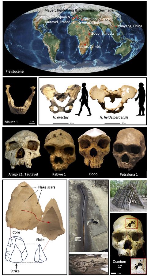 430.000 Jahre alte Holzwerkzeuge in Griechenland entdeckt