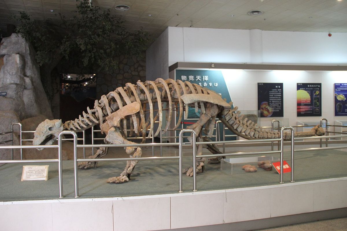 Die beeindruckenden Panzer der Dinosaurier