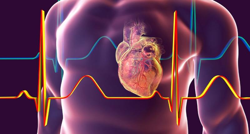 Erste Hilfe: So rettest du Leben bei Herzstillstand