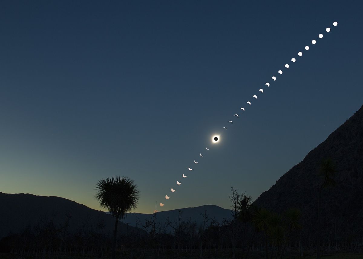 Haben Bäume die Sonnenfinsternis gespürt?