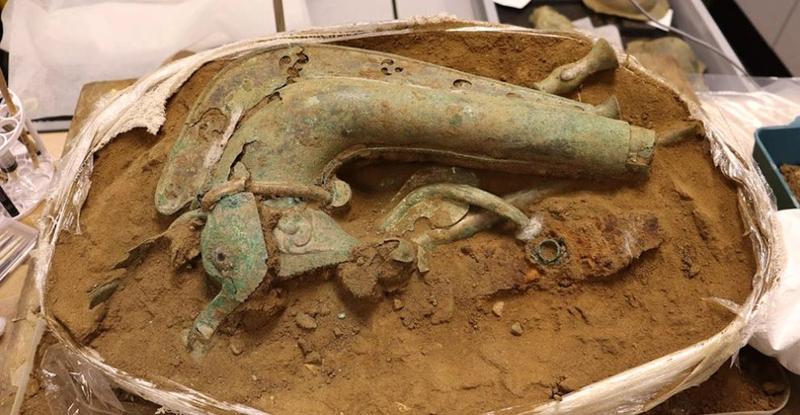 Die Entdeckung einer keltischen Kriegstrompete