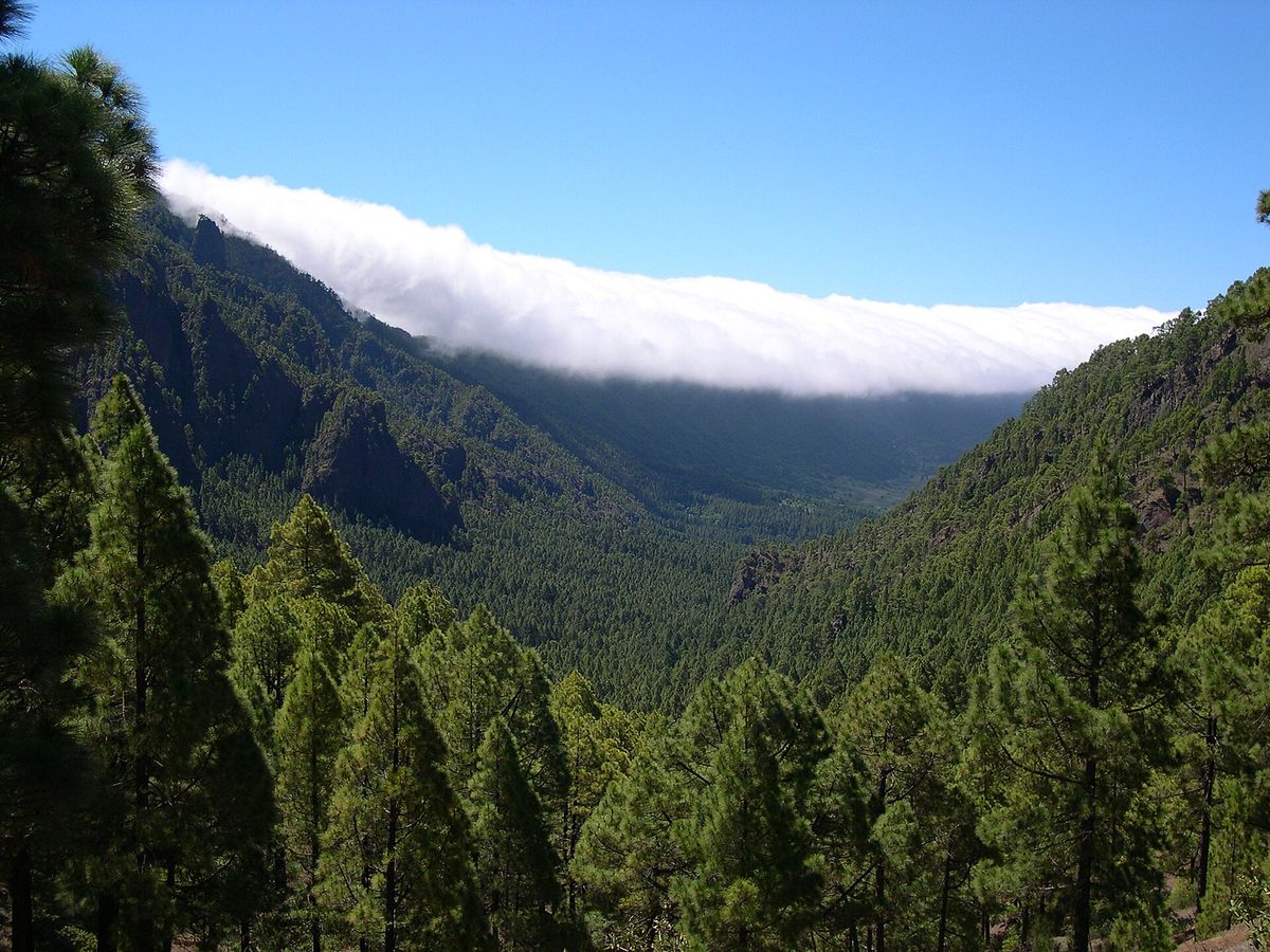 La Palma – Naturwunder der Kanarischen Inseln