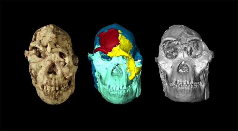 Little Foot: Ein Blick in die Vergangenheit