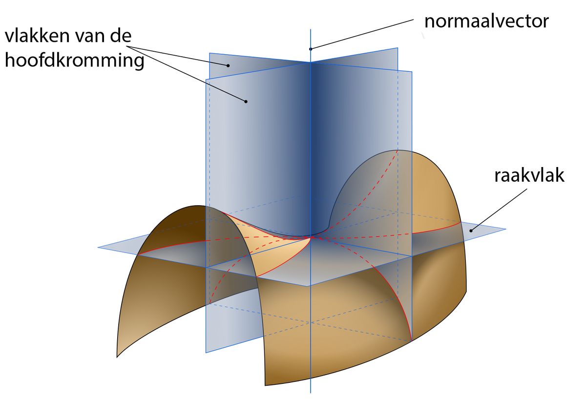 Neue Entdeckung in der Mathematik: Zwei besondere Donut-Formen