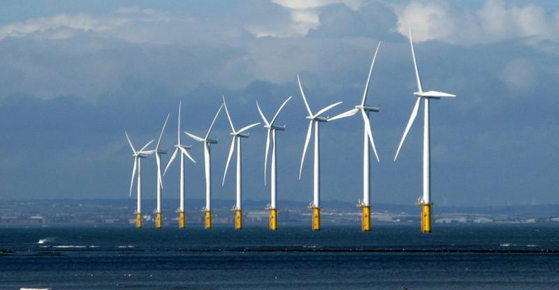 Wie Offshore-Windparks die Nordsee verändern