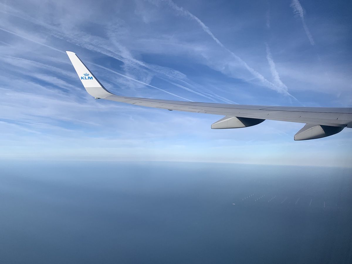 Wie Offshore-Windparks die Nordsee verändern
