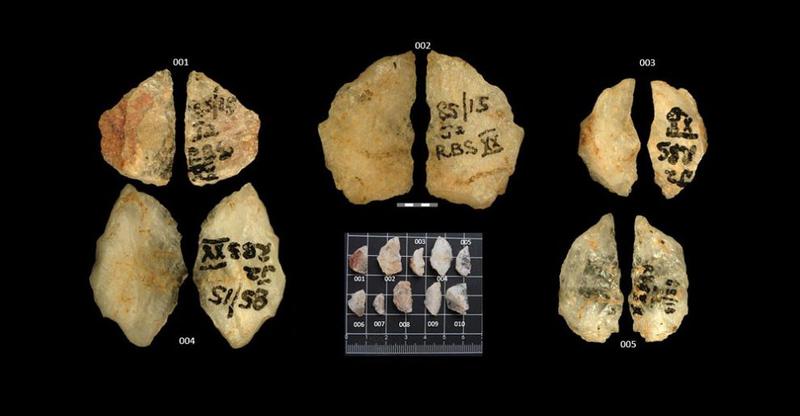 Die ältesten Giftpfeile der Welt