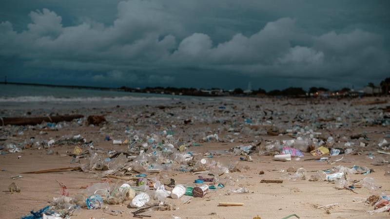 Probleme durch Plastikmüll