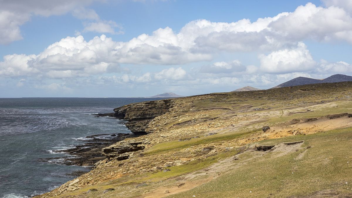 Politische Spannungen nach Argentiniens WM-Sieg: Das Falkland-Banner und seine Folgen
