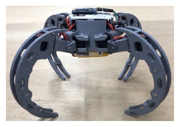 RAIBO2: Revolutionäre Energieeffizienz bei vierbeinigen Robotern
