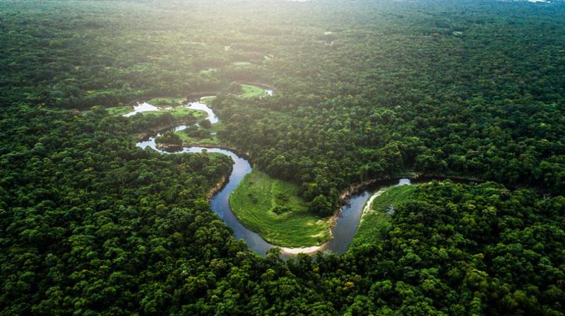 Warum der Regenwald so wichtig für den Regen ist
