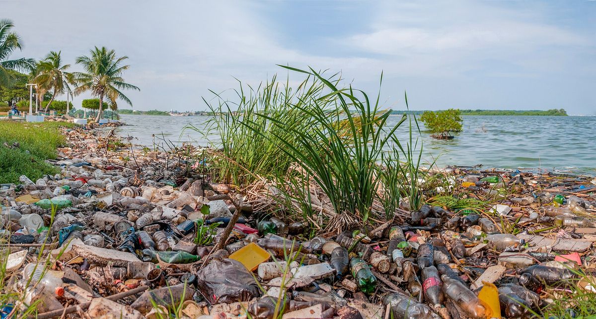Venezuela und das Öl – Warum die Umwelt leidet
