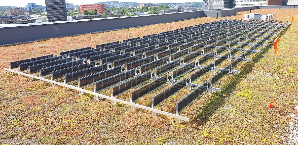 Solaranlagen, die sich wie Blätter im Wind bewegen