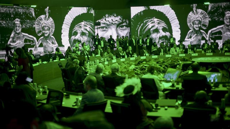 Die Klimakonferenz in Belém und die globalen Klimaziele