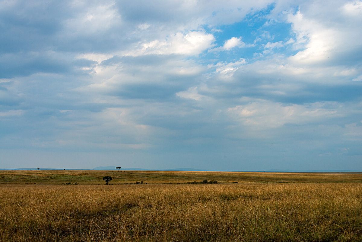 Klimawandel verändert Feuer in Afrika