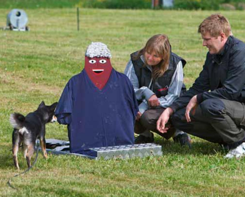 Wie man den passenden Hund findet: Persönlichkeit statt Rasse